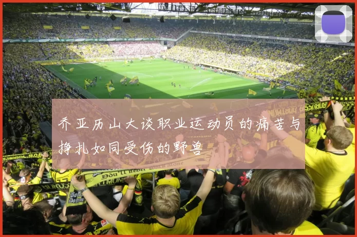 乔亚历山大谈职业运动员的痛苦与挣扎如同受伤的野兽